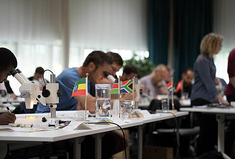 Leren is leuk! Leren is noodzakelijk!