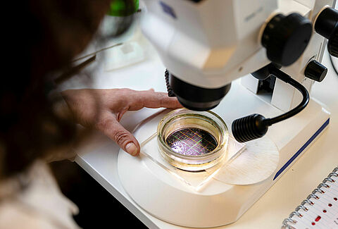 Samples & Diagnostics