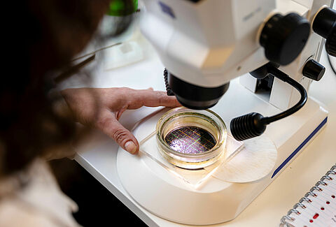 Samples & Diagnostics