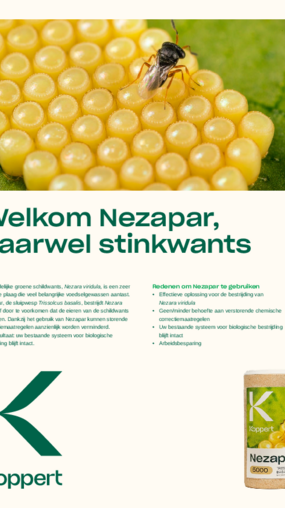 Effect van Nezapar