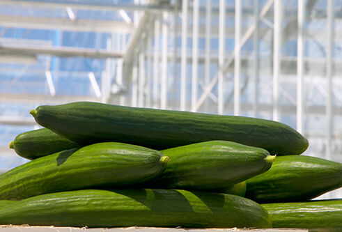 Komkommers: het venijn zit in de staart!