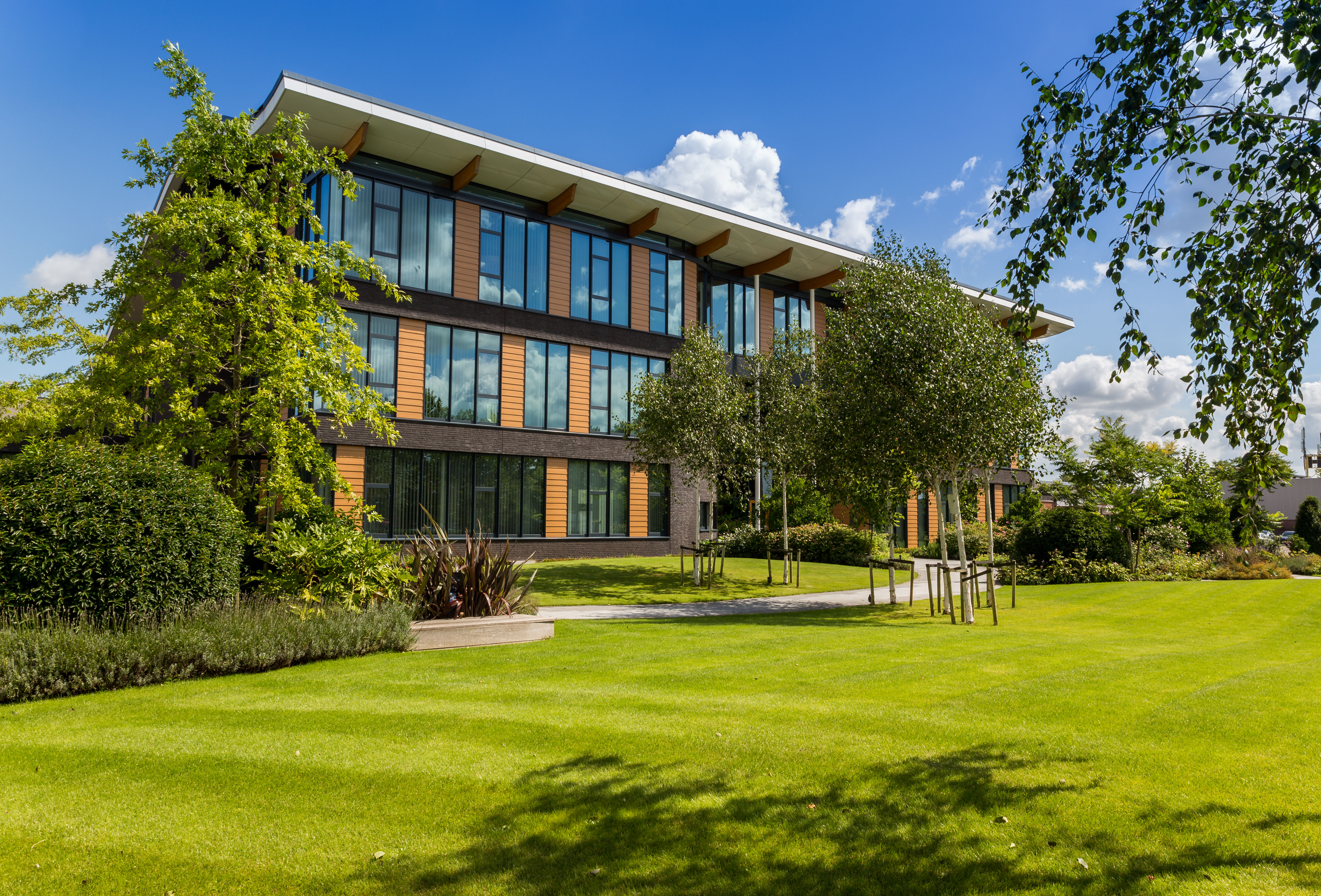 Drie nieuwe consultants