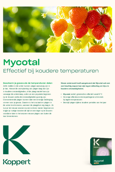 Mycotal - Effectief in koudere temperaturen