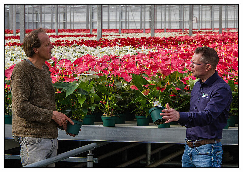 Amazone_Plants-01.jpg