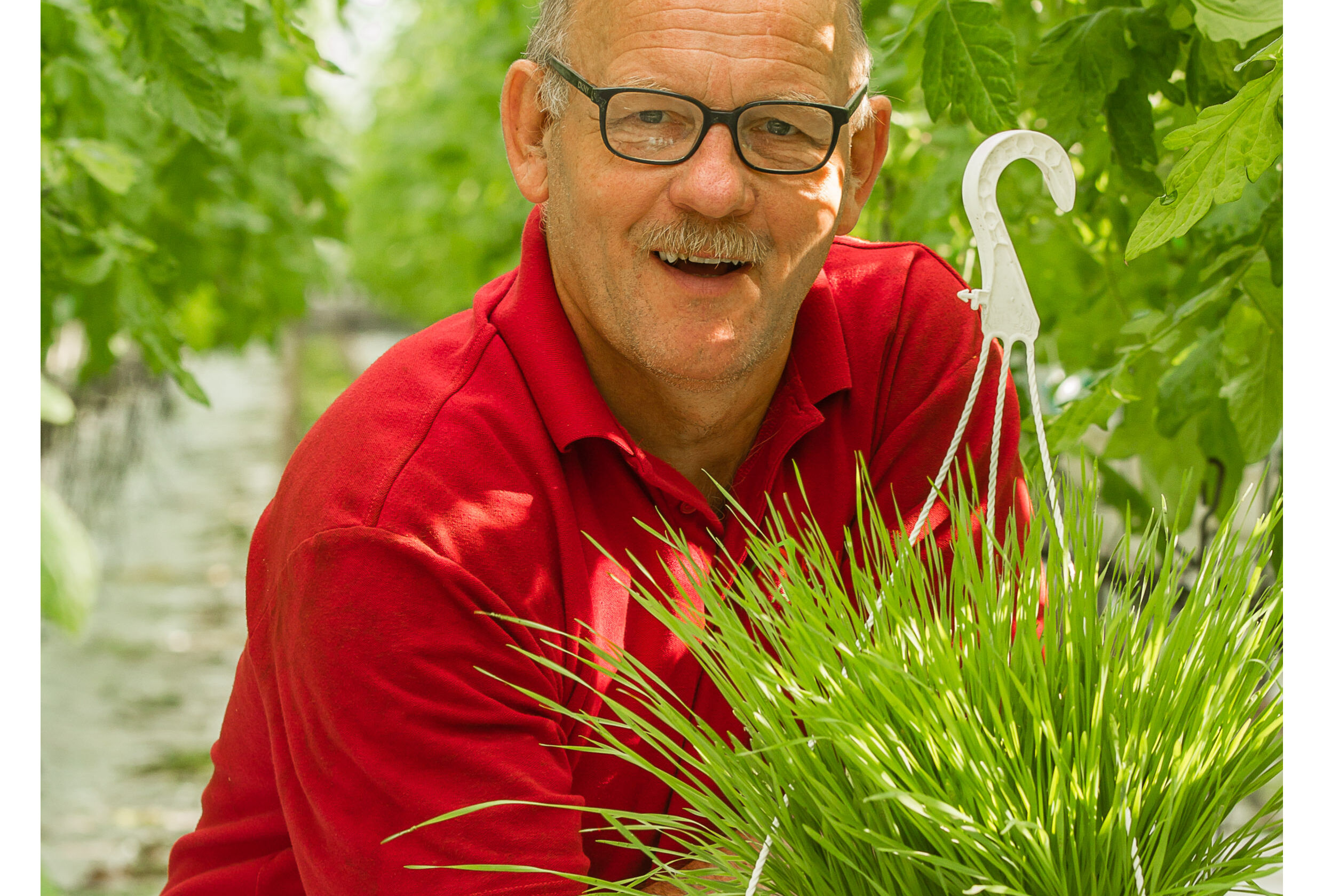 Ervibank onmisbaar in de bestrijding van bladluizen