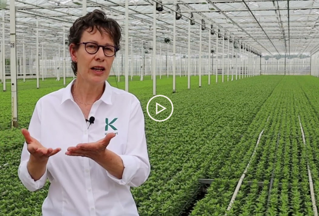 Glastuinbouw en biodiversiteit, ja!