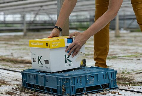 Optimale plaatsing van hommelkasten