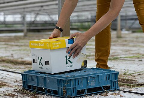 Optimale plaatsing van hommelkasten