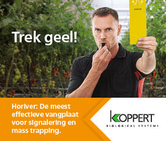 Gebruik Horiver voor monitoren in komkommer