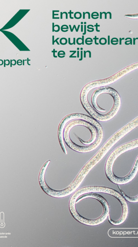 Onderzoeksresultaten Entonem Onderzoeksresultaten Entonem