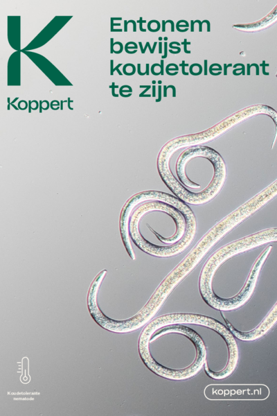 Onderzoeksresultaten Entonem