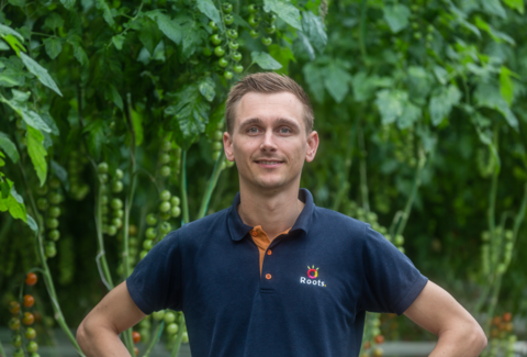 Roots Growers positief over Mycotal tegen witte vlieg