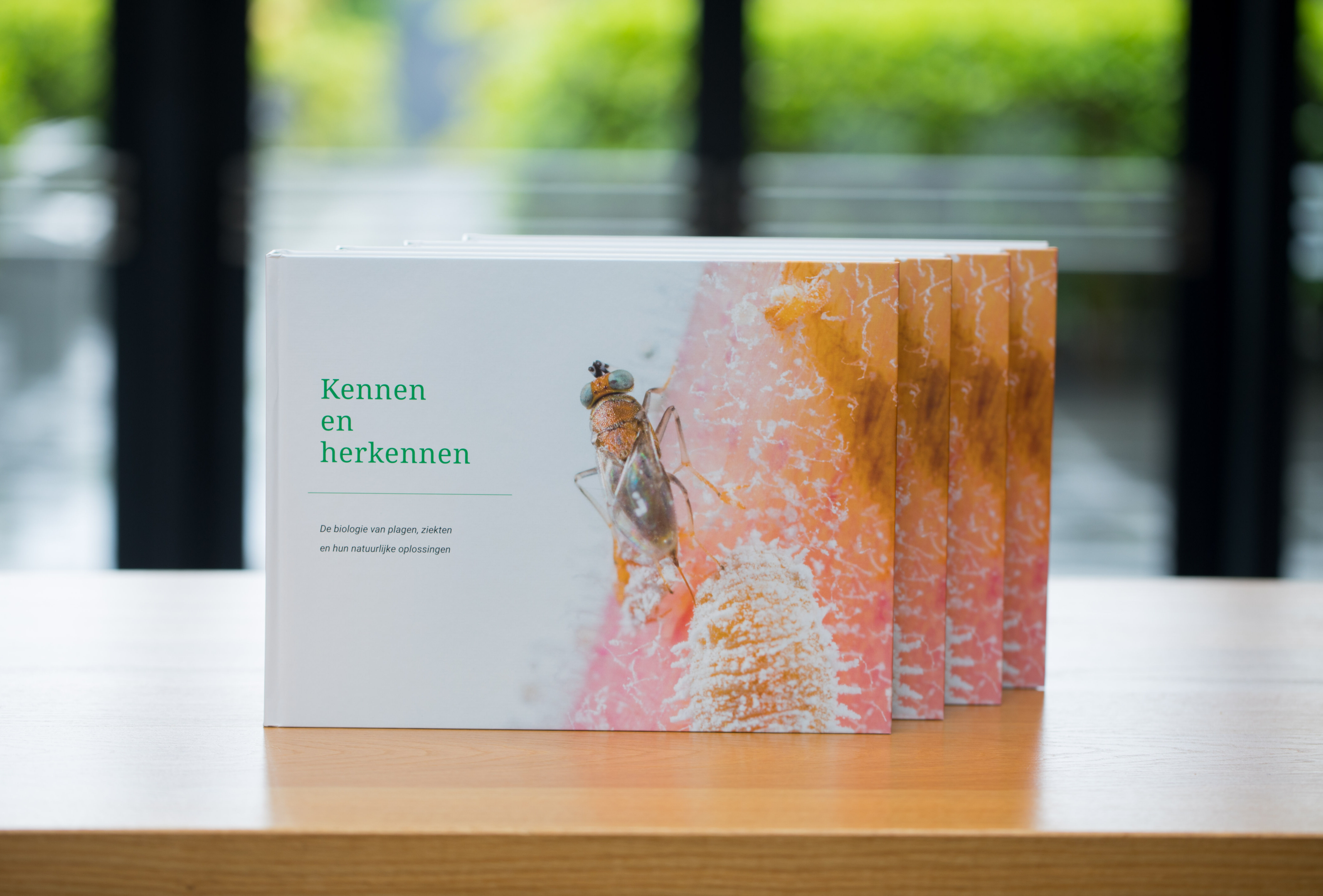 ‘Knowing and recognizing’ nu beschikbaar in het Nederlands