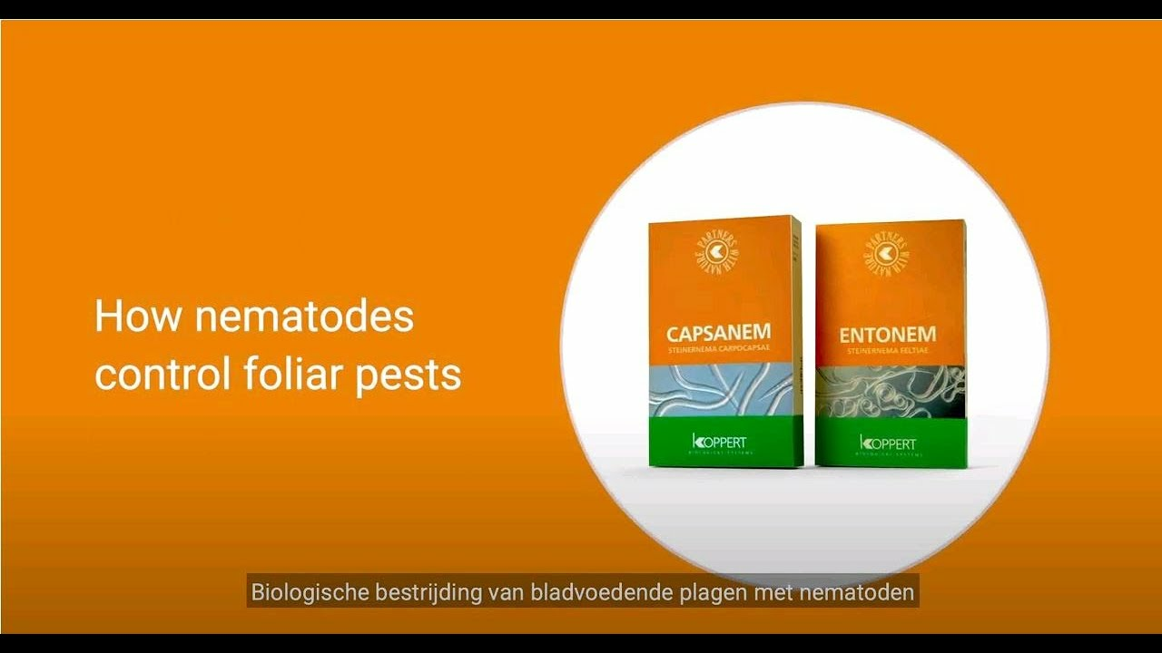 Biologische bestrijding van bladvoedende plagen met nematoden