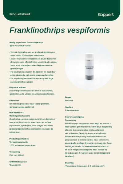 Franklinothrips vespiformis Data Sheet