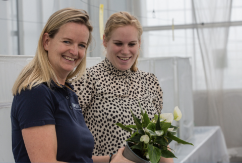 Doorbraak tegen Echinotrips