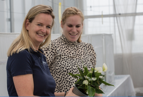 Doorbraak tegen Echinotrips