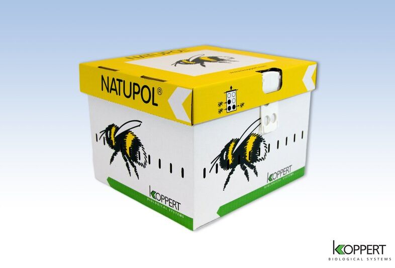 Voldoende bestuiving in donkere perioden