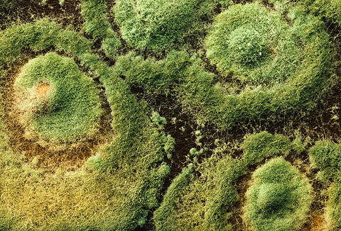 Big impact starts small