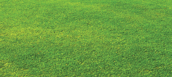 ProFunda voor een gezond gazon