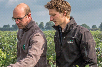 "Tripol hommels hebben een constante, hoge kwaliteit"