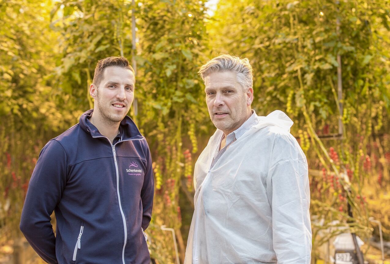 Buitengewoon strikte preventie tegen wittevlieg is de beste aanpak