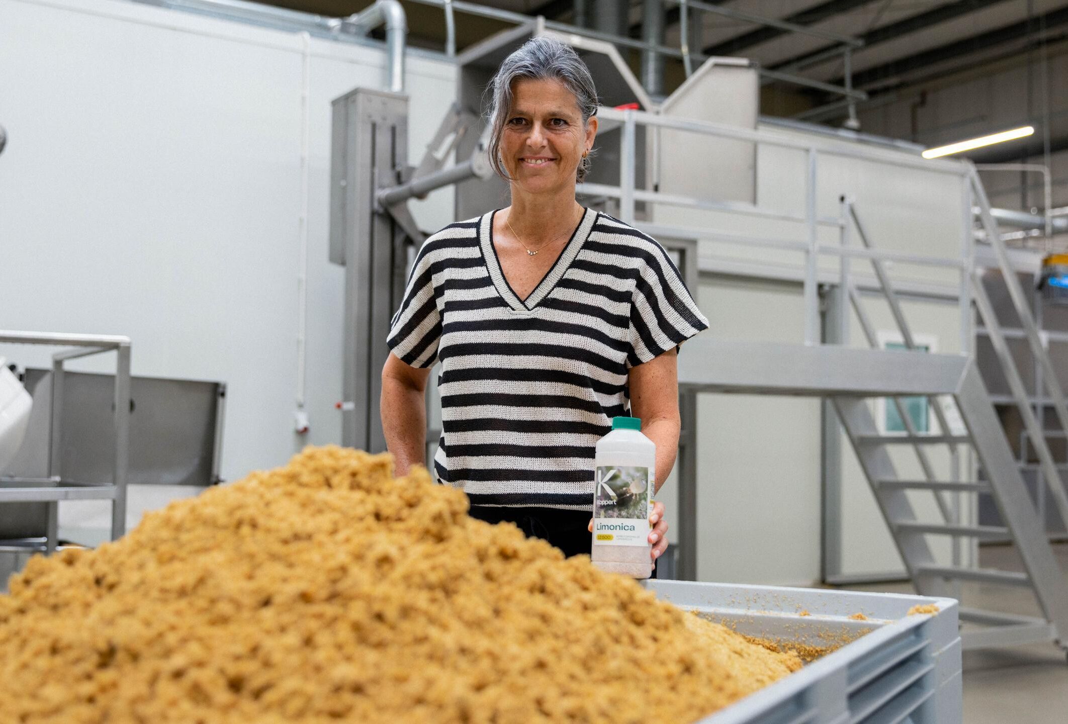 Limonica: doorbraak in grootschalige productie van een complexe roofmijt