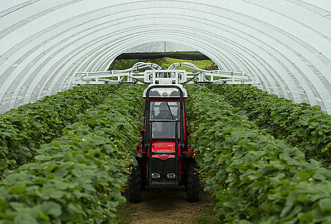 Gelijkmatige verspreiding van roofinsecten met Natutec Drive