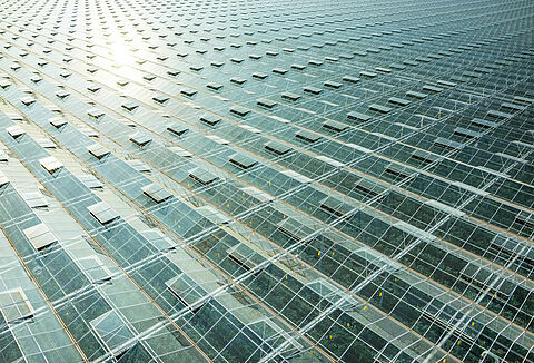 Voorkom hittestress in uw gewas met Vidi Terrum