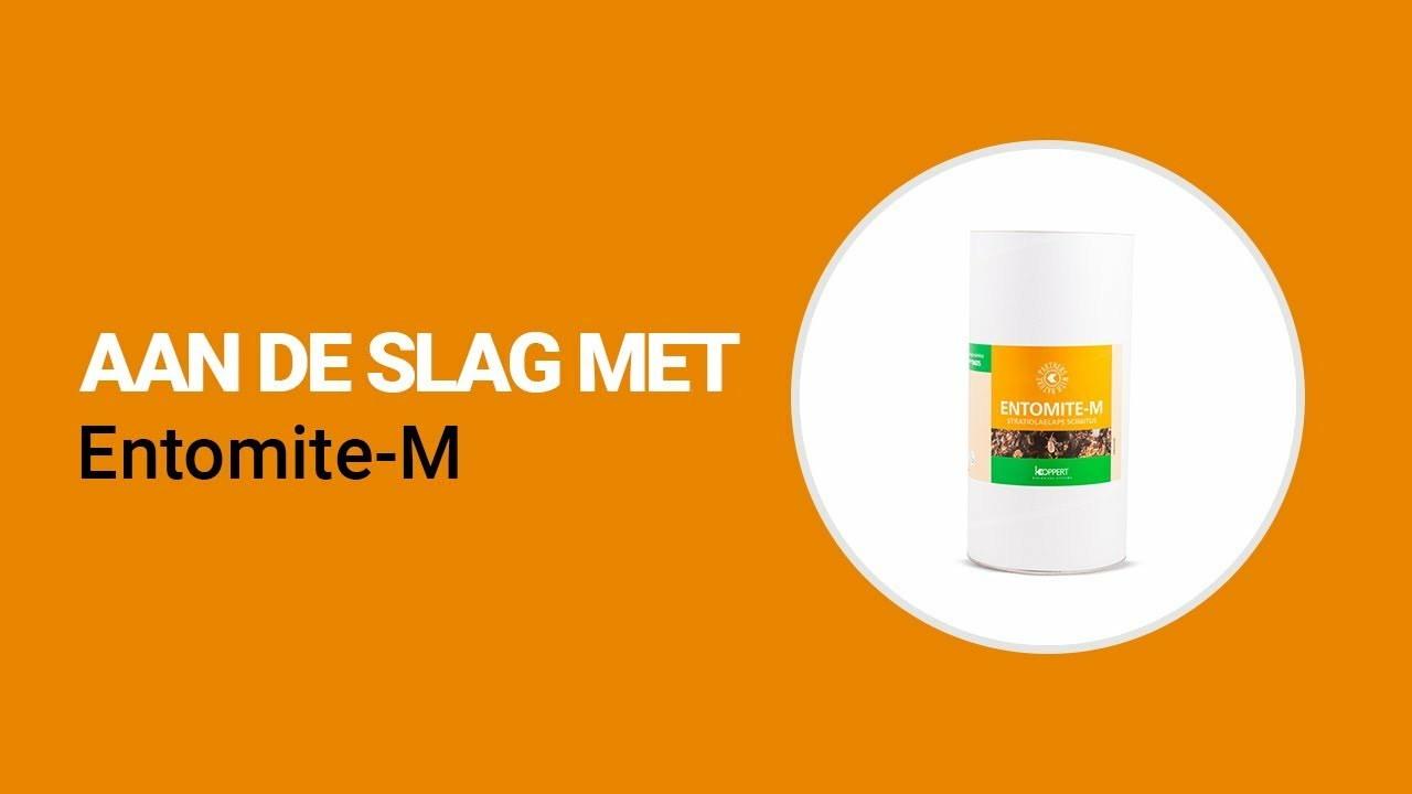 Aan de slag met Entomite-M van Koppert