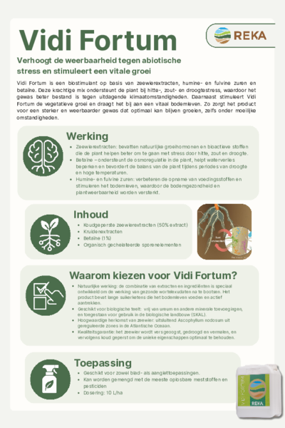 Vidi Fortum - Flyer