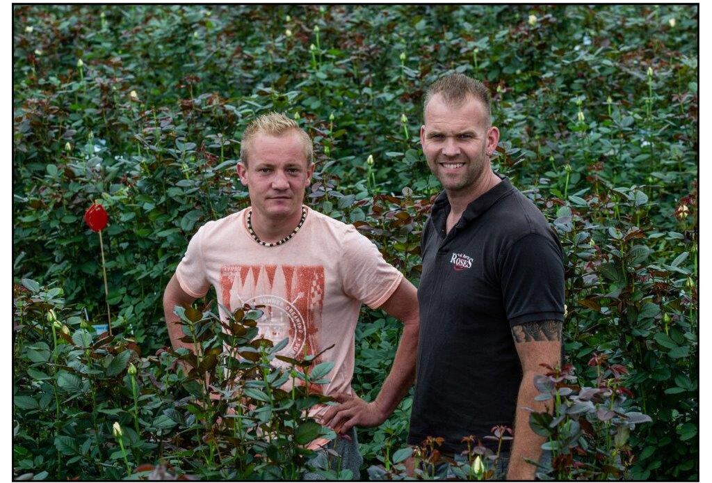 Superresultaat tegen de luizen