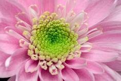 Beter scouten met Horiver