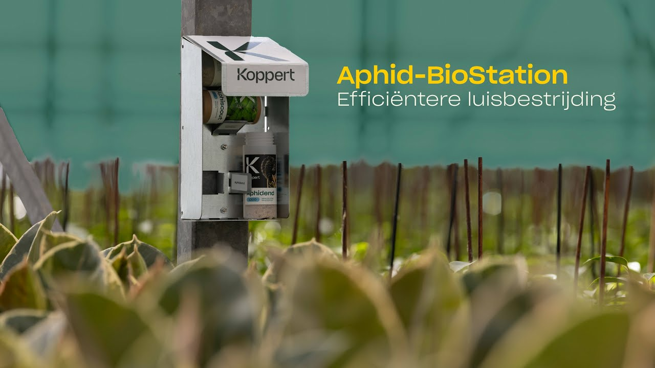 Succesvol inzetten van bladluisbiologie met het Aphid-BioStation Succesvol inzetten van bladluisbiologie met het Aphid-BioStation