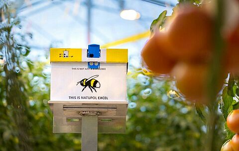 Extra nestkast in donkerste periode