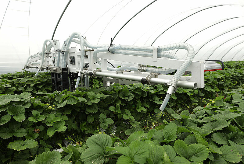 Natutec_Drive_Koppert_Biological_Systems_34.JPG