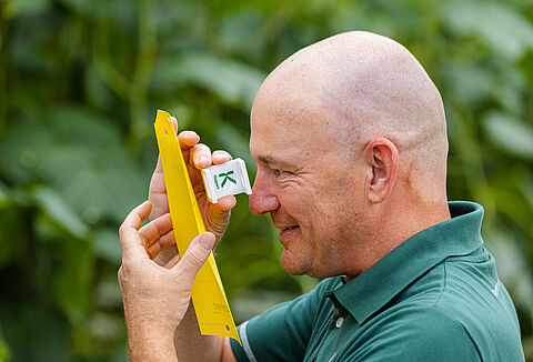 Geen gewas in de kas? Blijf monitoren!