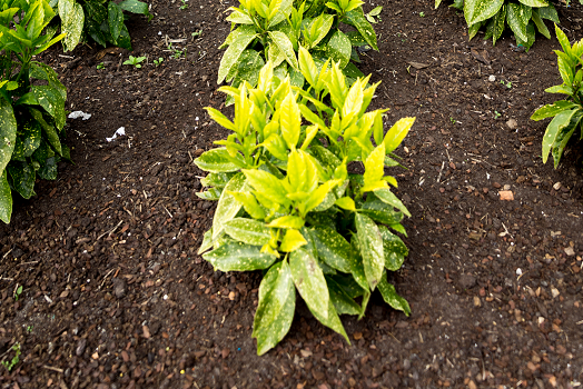 Herstel het evenwicht in de bodem