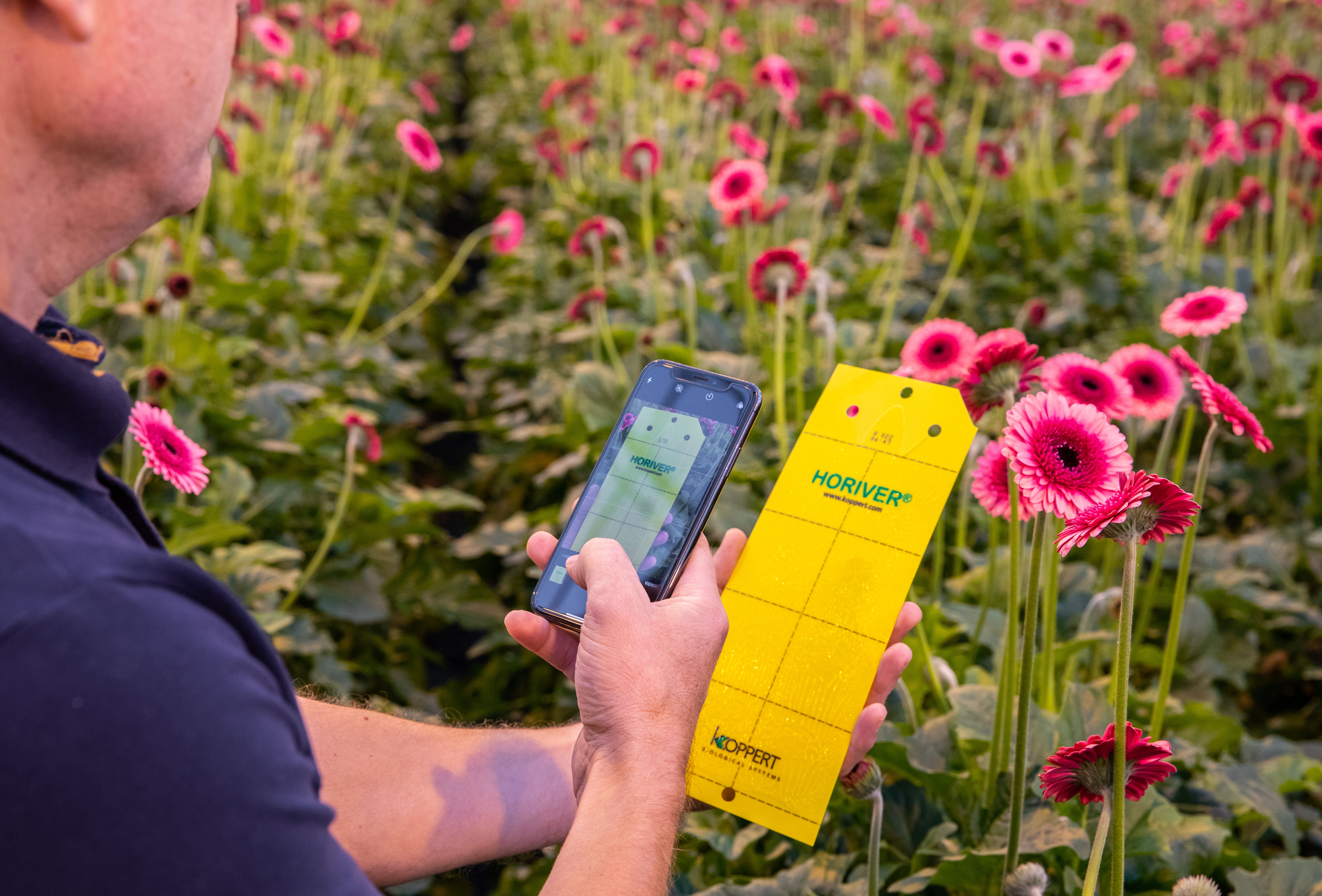 Wat zal de toekomst brengen?