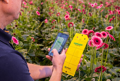 Wat zal de toekomst brengen?