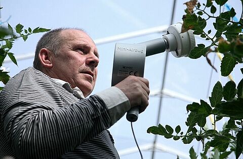 In onbelichte tomaten Macrolophus blijven bijvoeren