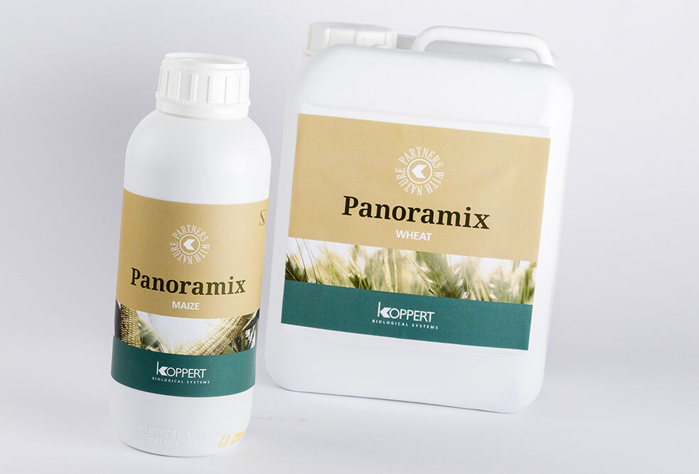 Nieuwe biostimulant van Koppert: meer groeikracht, meer weerstand, hogere opbrengsten
