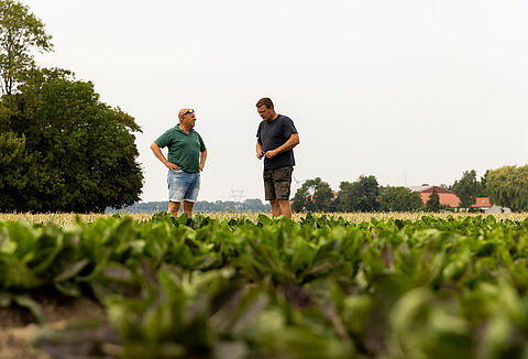 Het Koppert Outdoor Experience Center: een innovatieve ontmoetingsplek om biologische gewasbeschermingsoplossingen te ontdekken