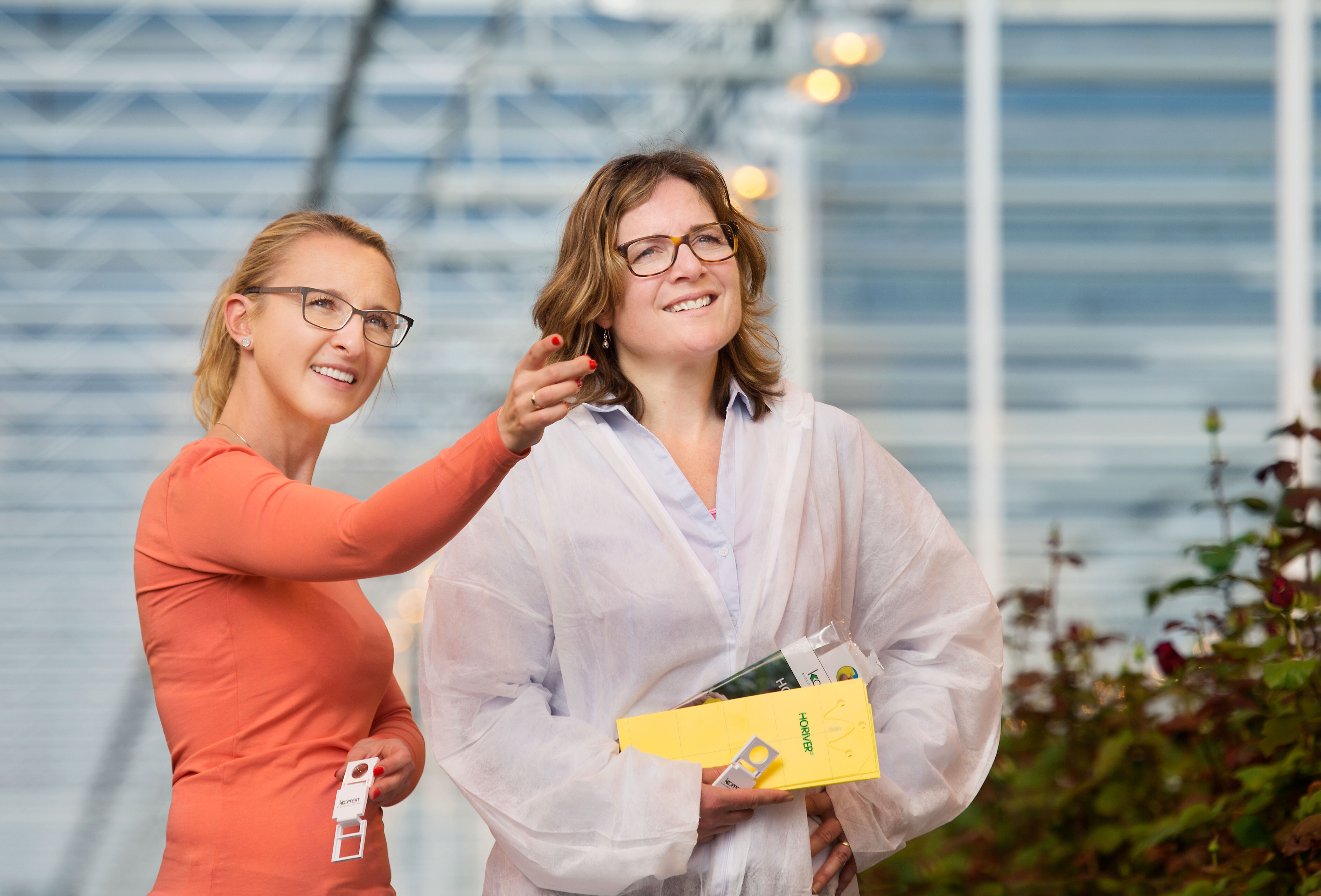 Samenwerken tegen trips