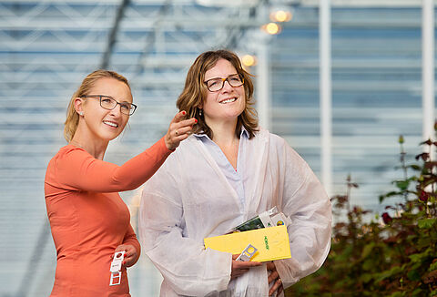 Samenwerken tegen trips