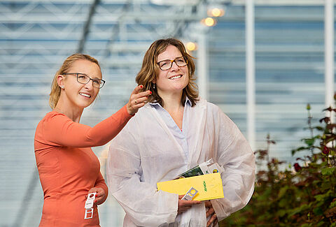Samenwerken tegen trips