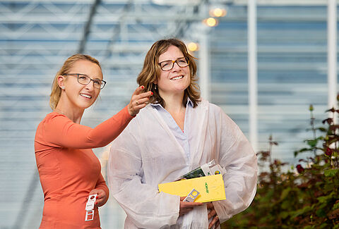 Samenwerken tegen trips