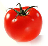 Extra slagkracht tegen witte vlieg in tomaat