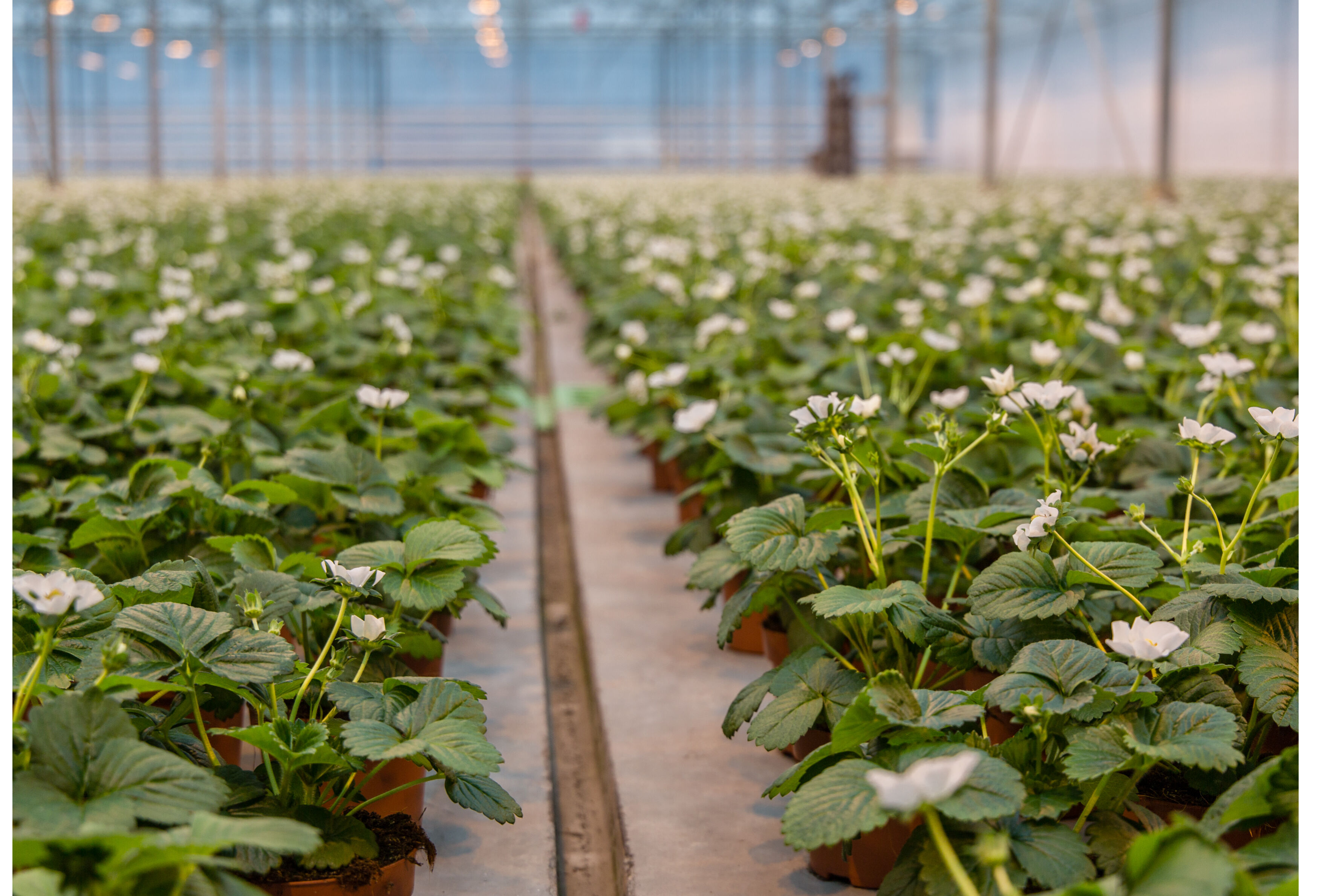 Nieuwsgierig en ongeduldig