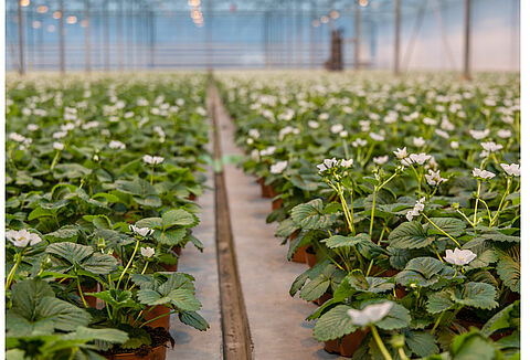 Nieuwsgierig en ongeduldig